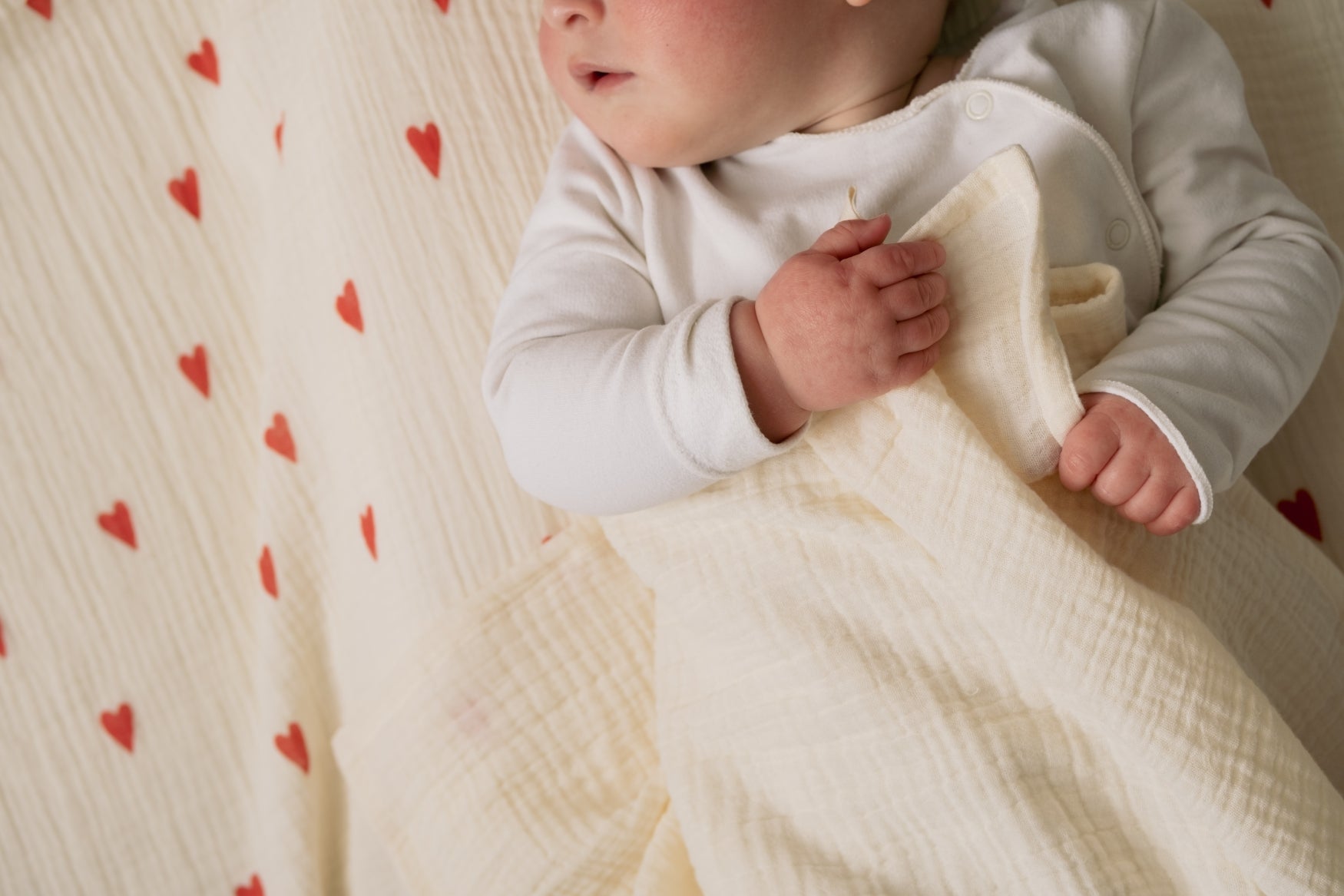 Swaddle Print