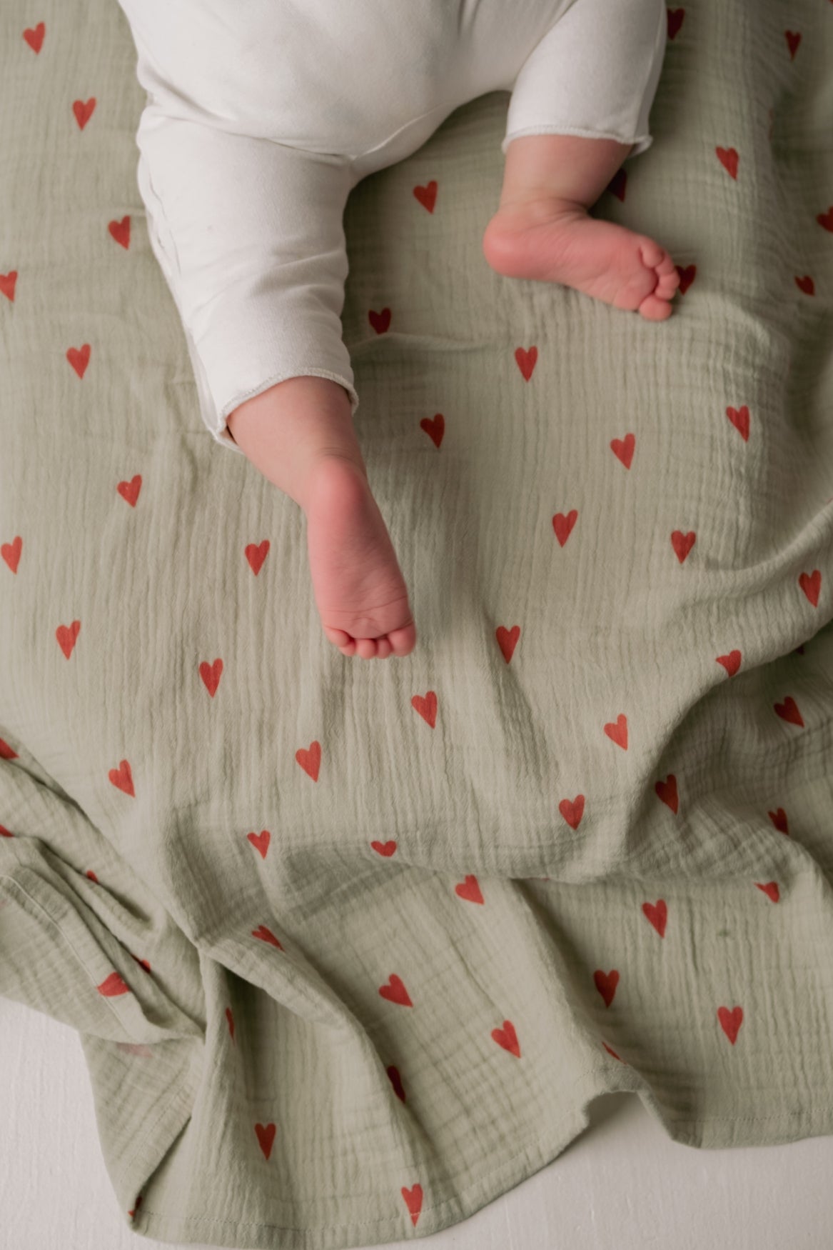 Swaddle Print