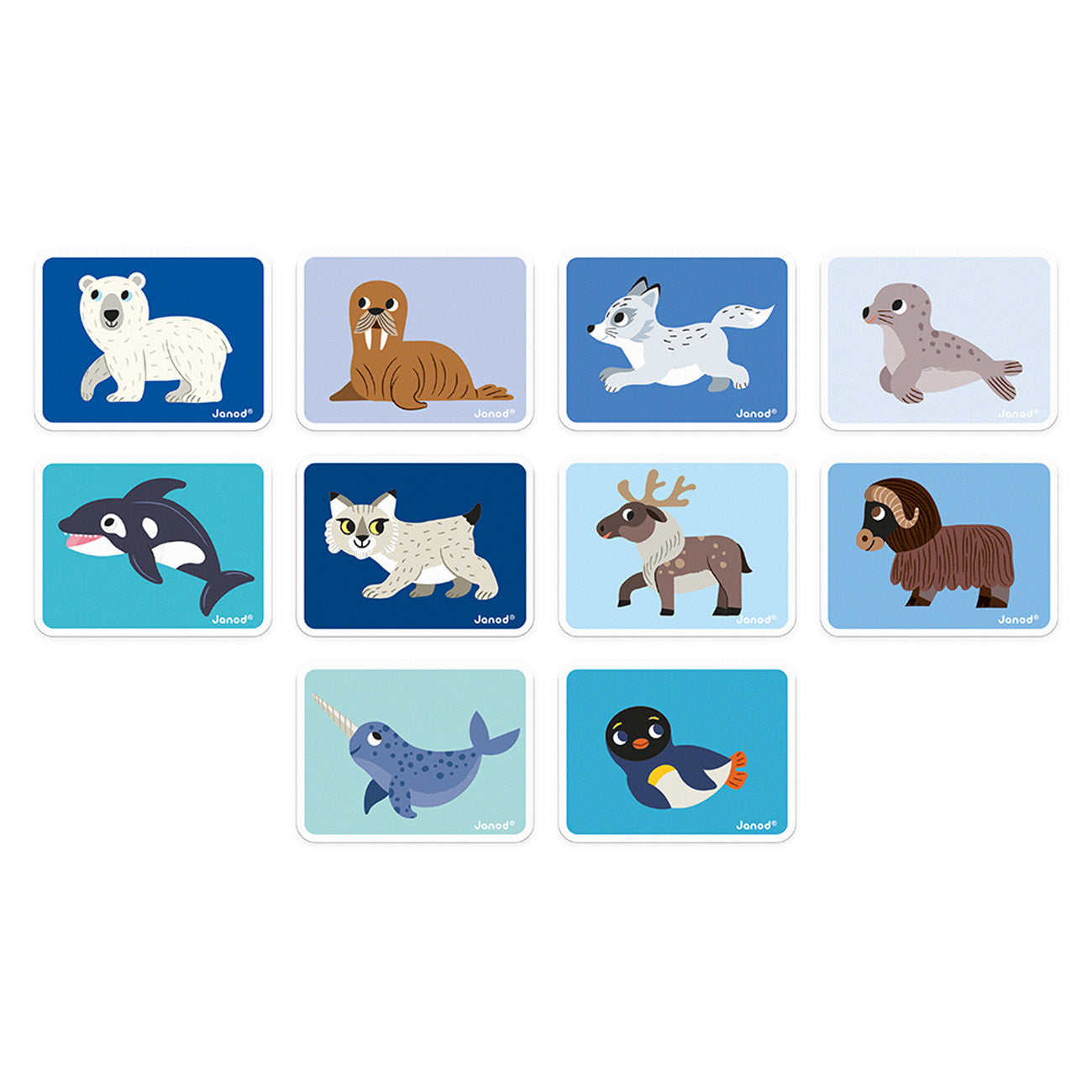 Janod Magnetibook - Polar Animals