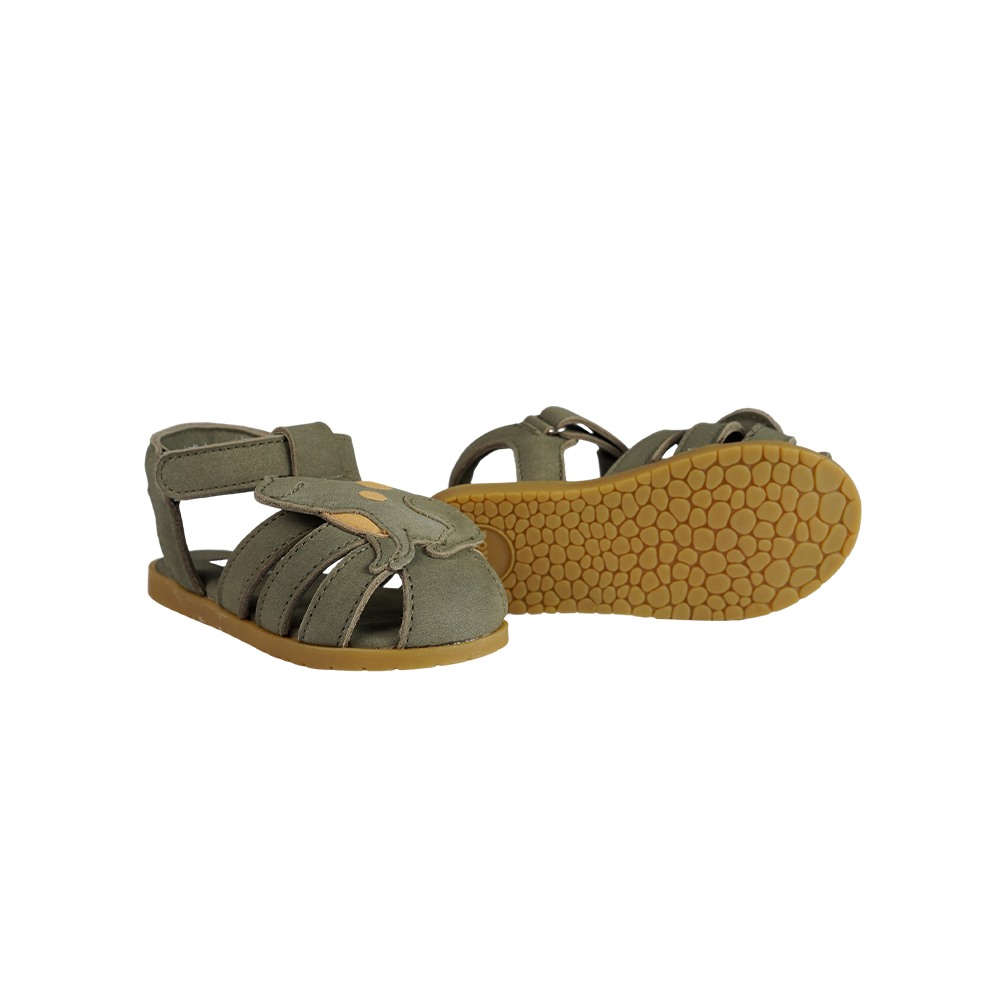 Damio Sandals | Frog