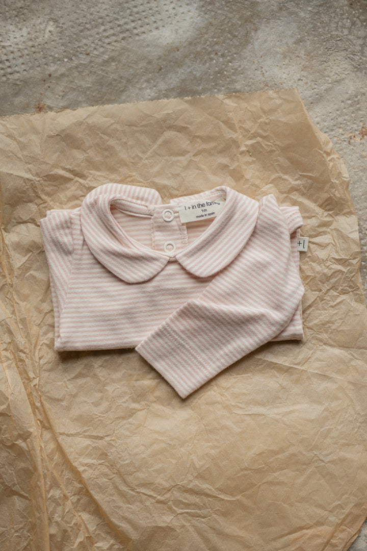 LOURDES collar body