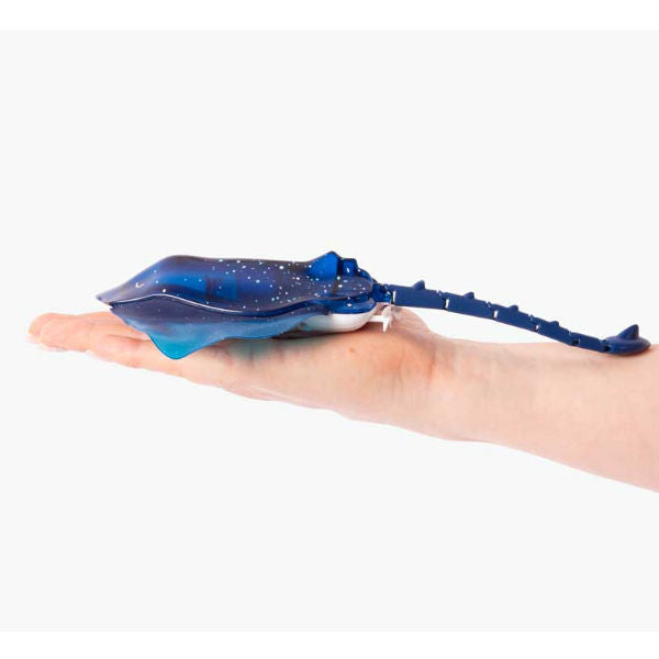 Manta Ray, zwem- en duikbewegingen