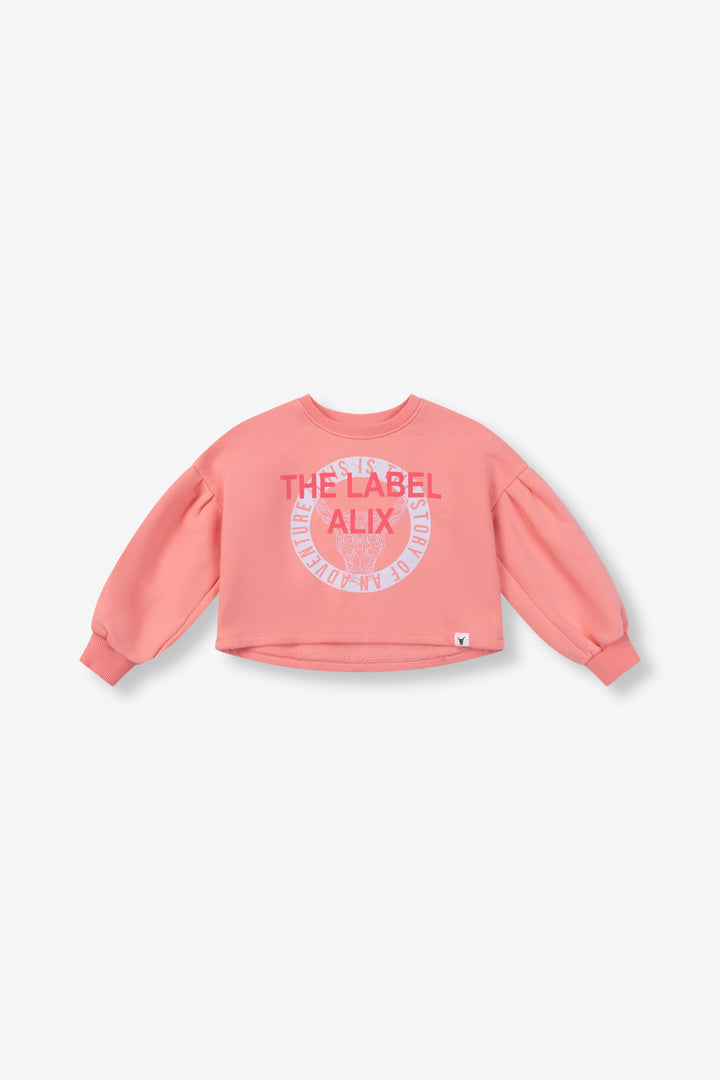 Alix Mini - Raw edge sweater
