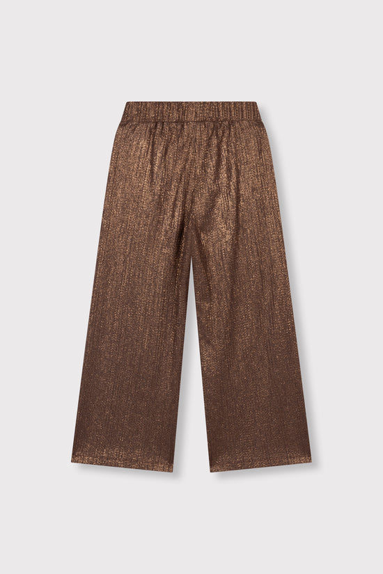 shiny wide leg pants