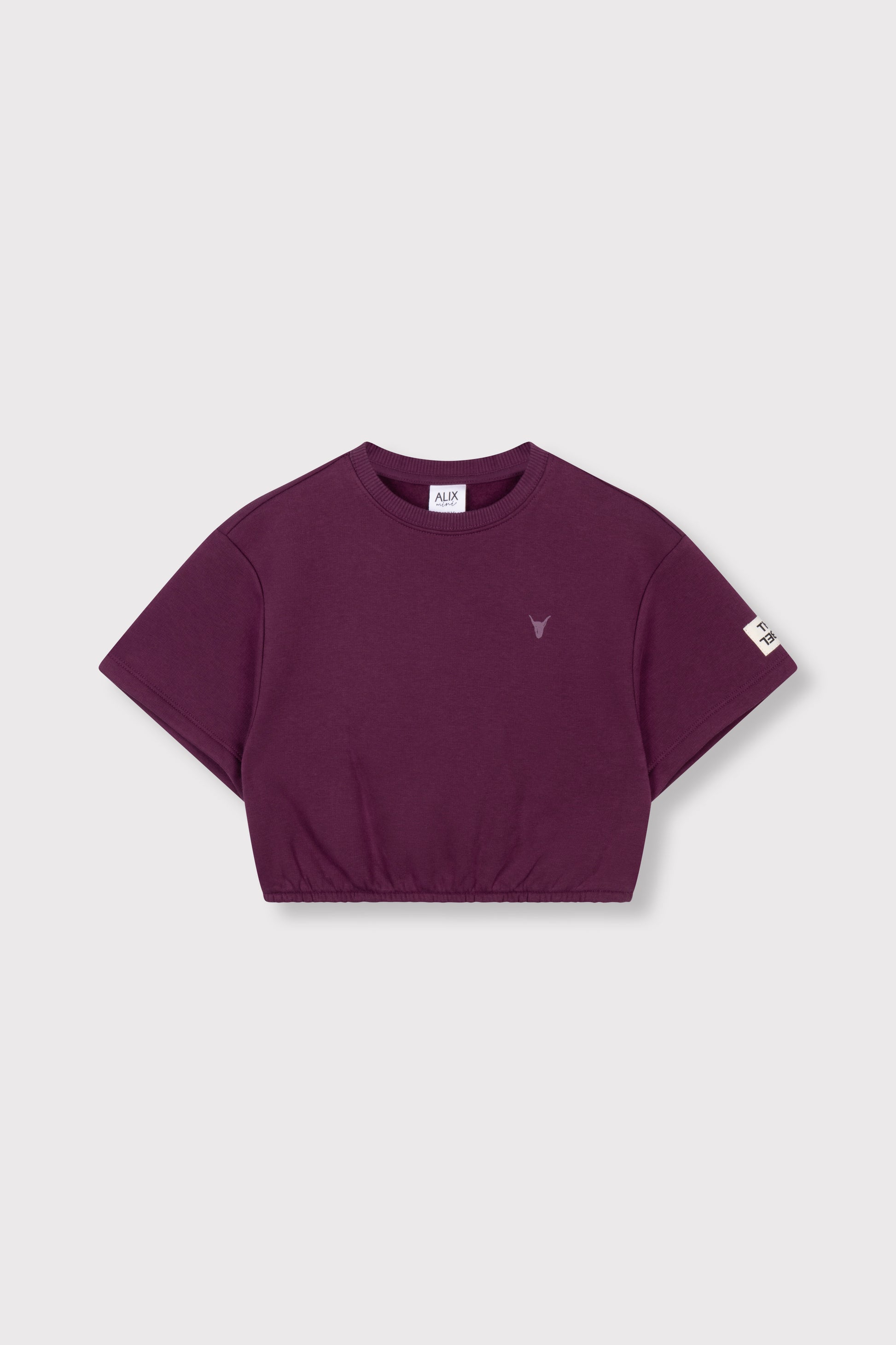 cropped T-shirt
