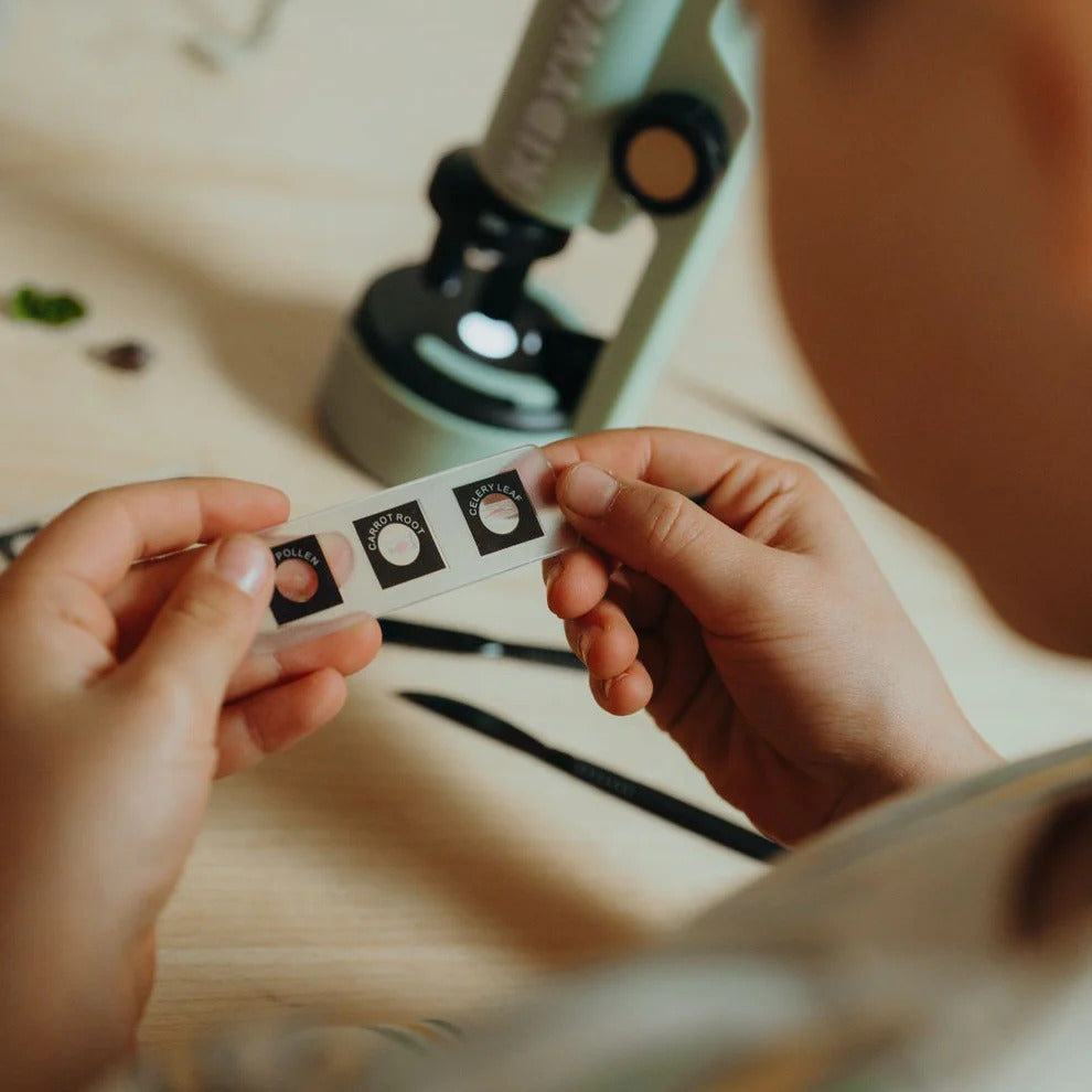 Kidywolf - Kidymicroscope