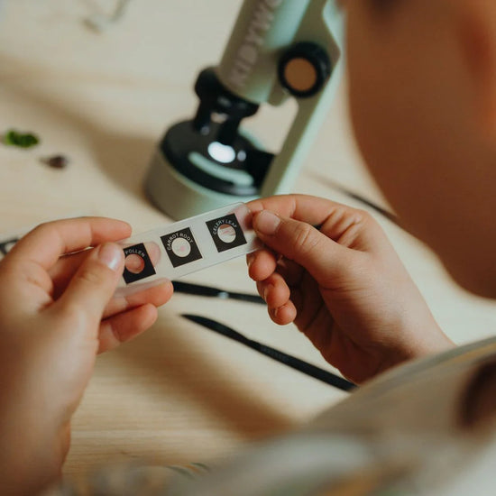 Kidywolf - Kidymicroscope