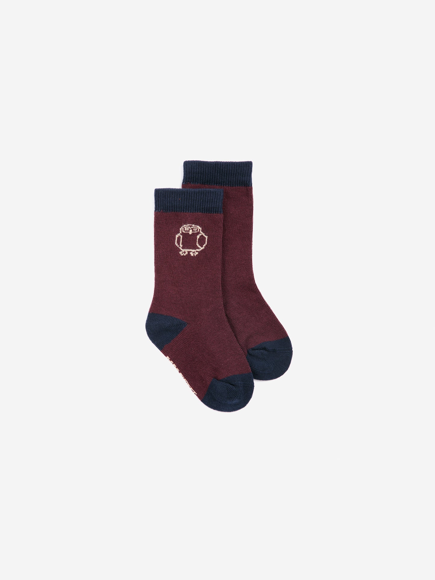 Curious Owl socks pack