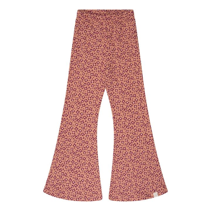 Be flared leopard flower