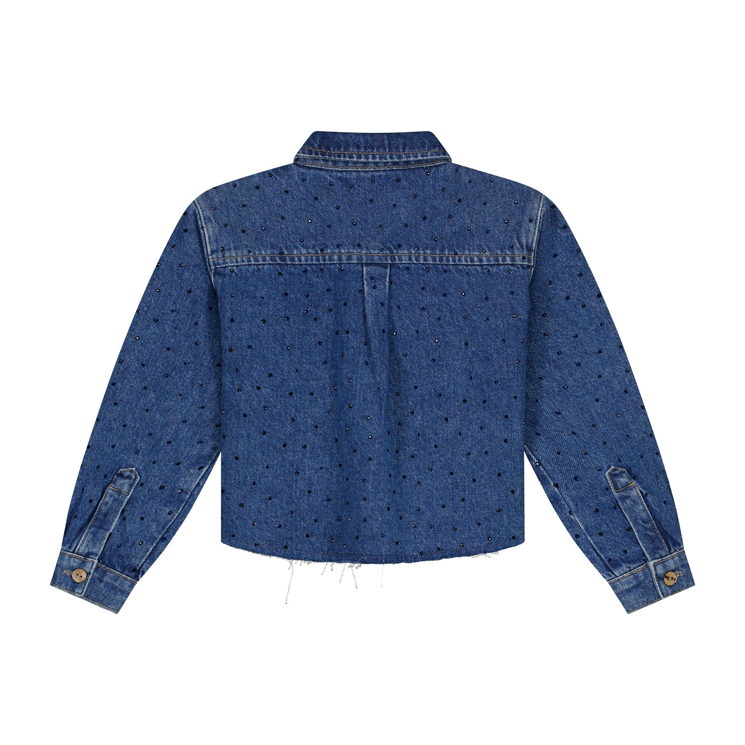 Sage Blouse