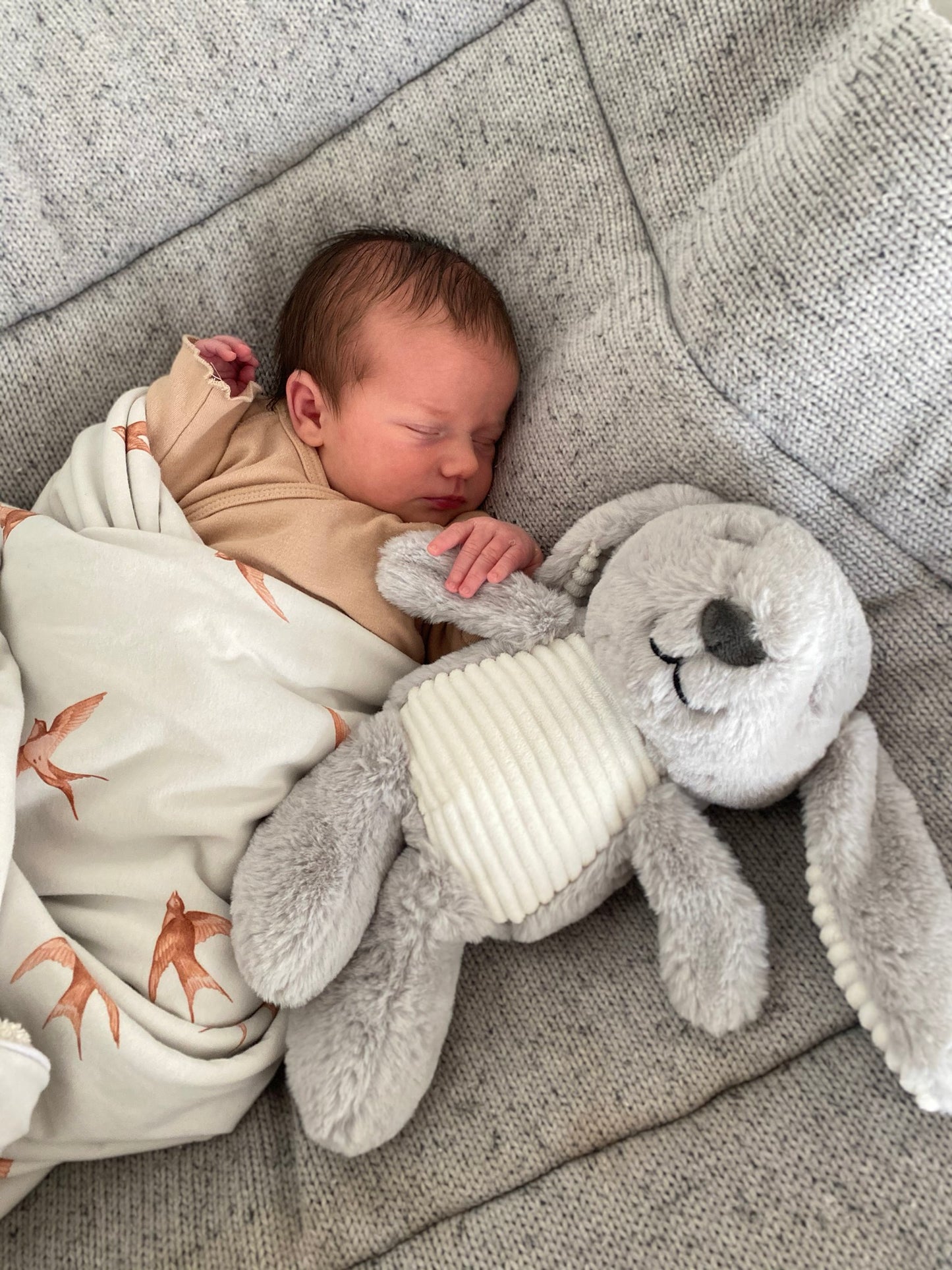 Hartslag Knuffel Milo