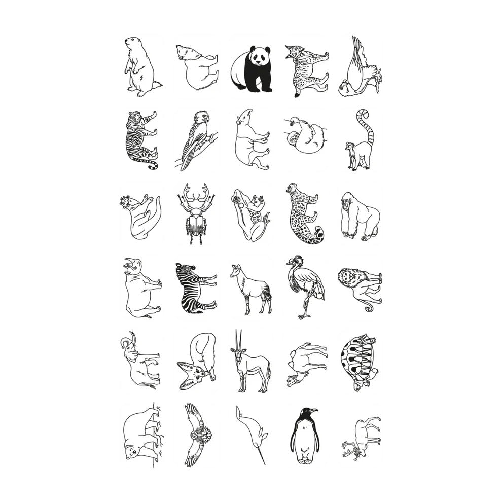 Refil Draw - Animals en oceaan