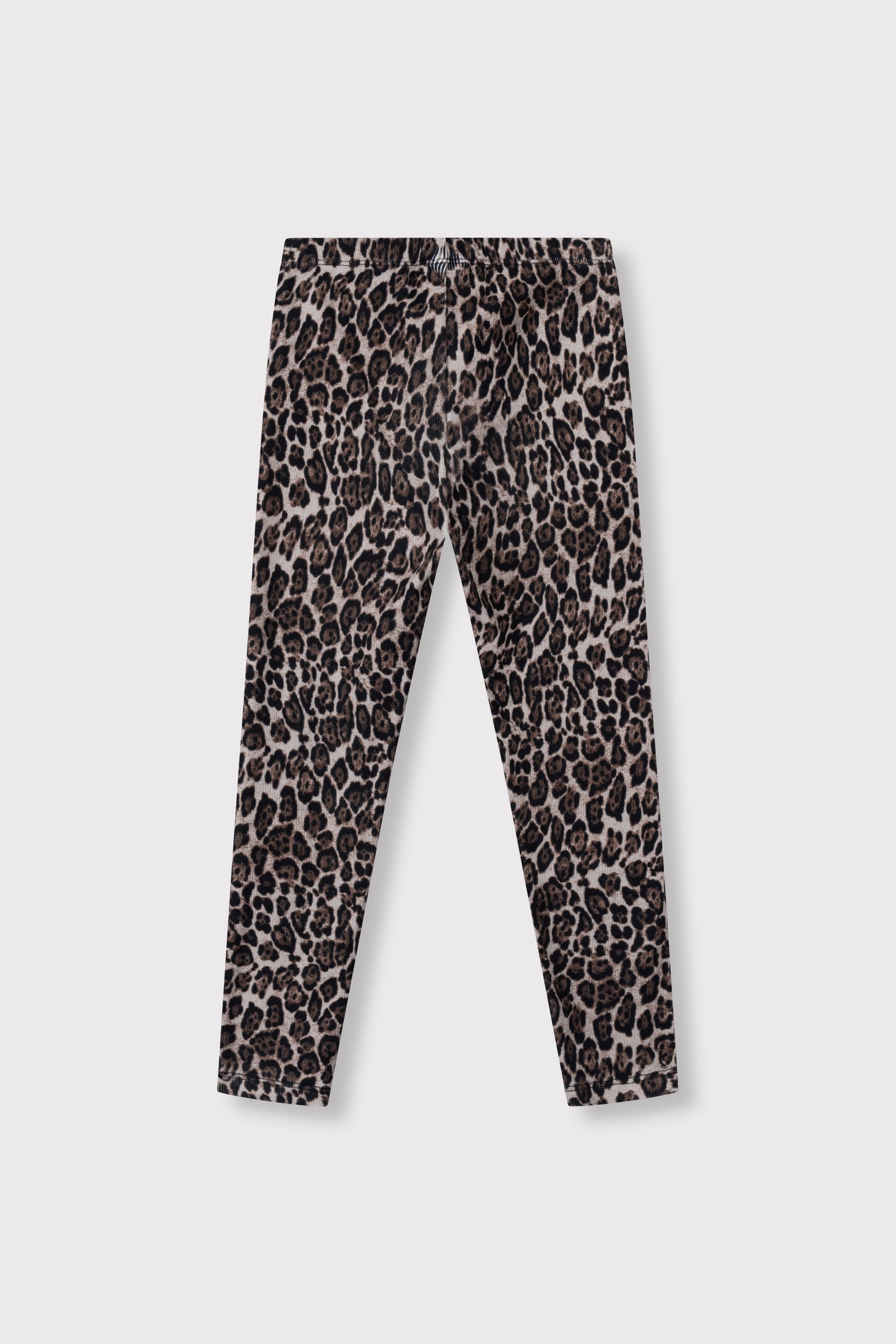 JAGUAR LEGGING