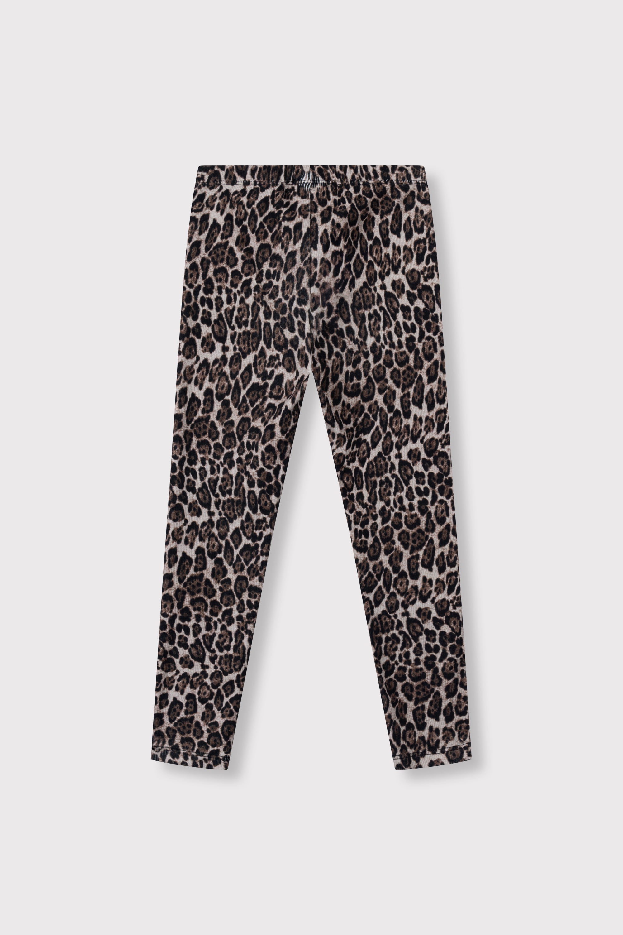 JAGUAR LEGGING