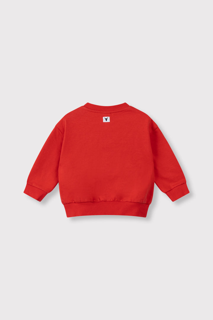 BABY LABEL SWEATER