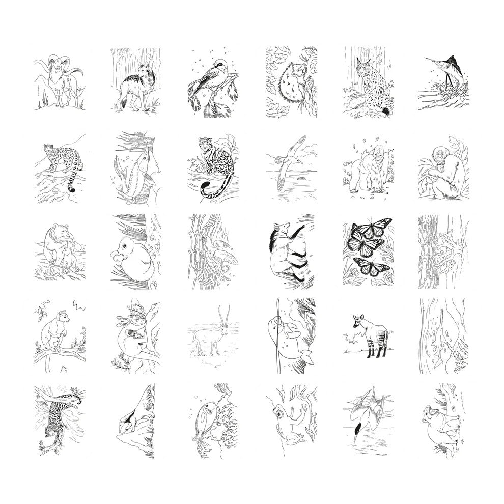 Kidydraw Pad Tekentablet - Animals