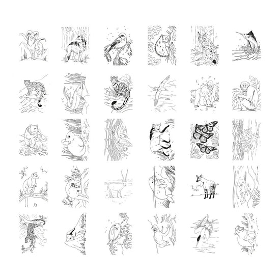 Kidydraw Pad Tekentablet - Animals