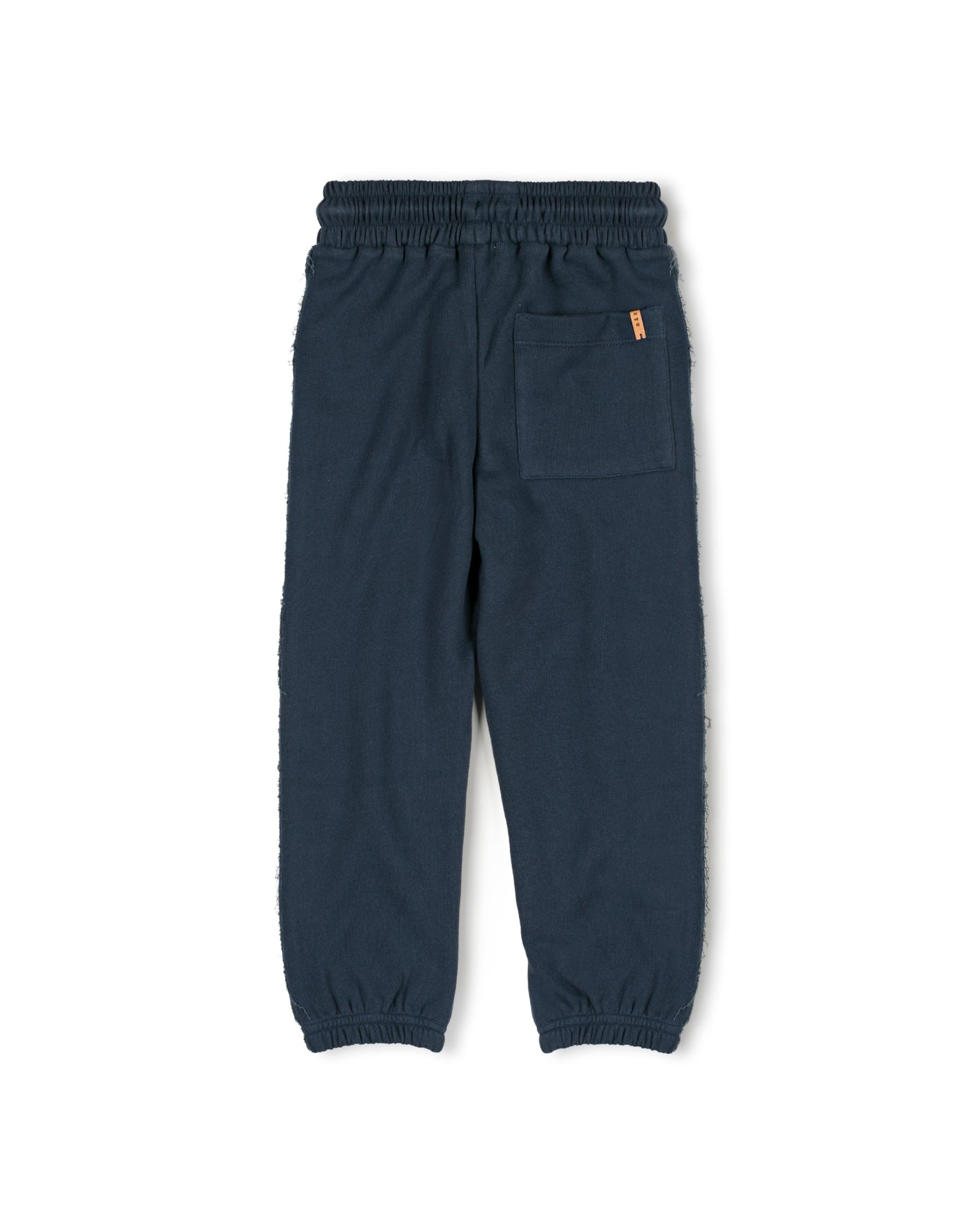 Pir jogger