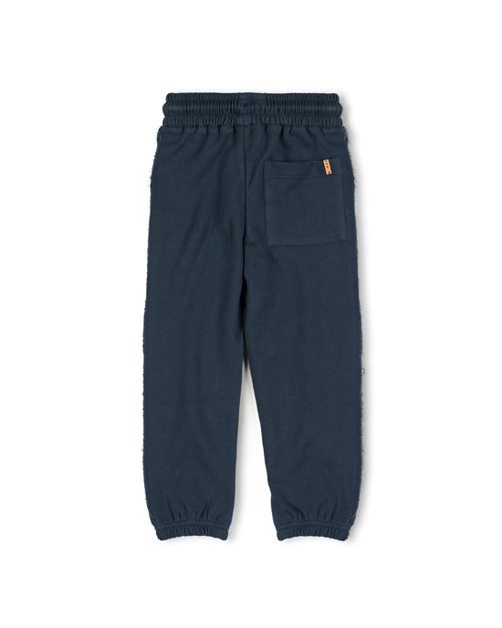 Pir jogger