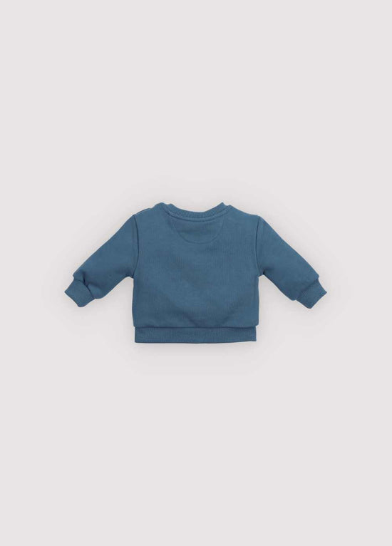 Baby sweater TNS logo