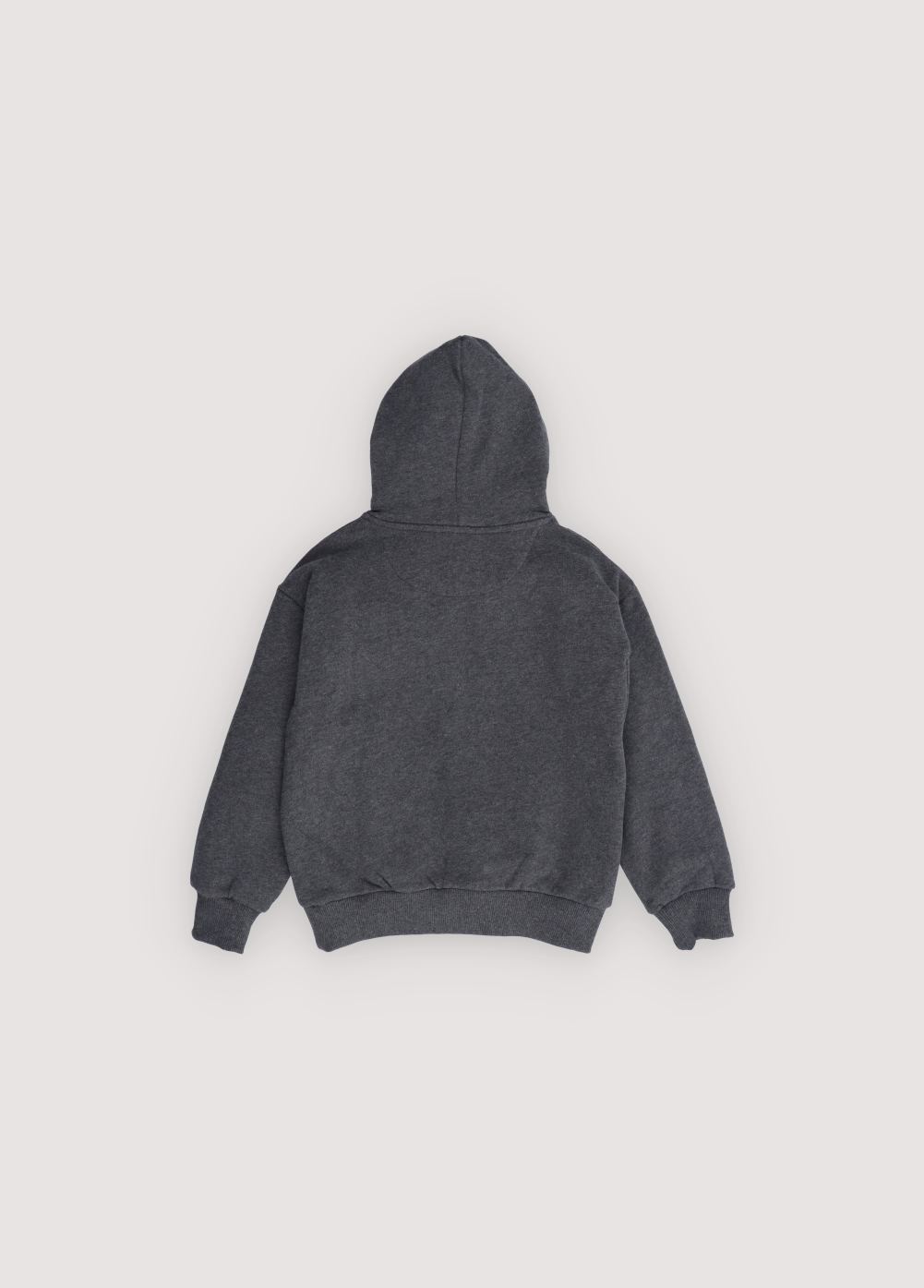 Hoodie TNS logo