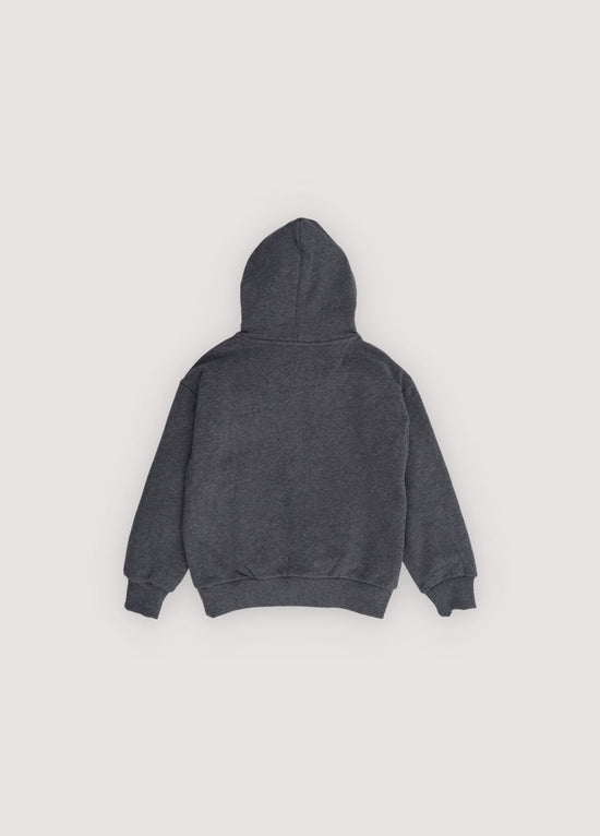 Hoodie TNS logo
