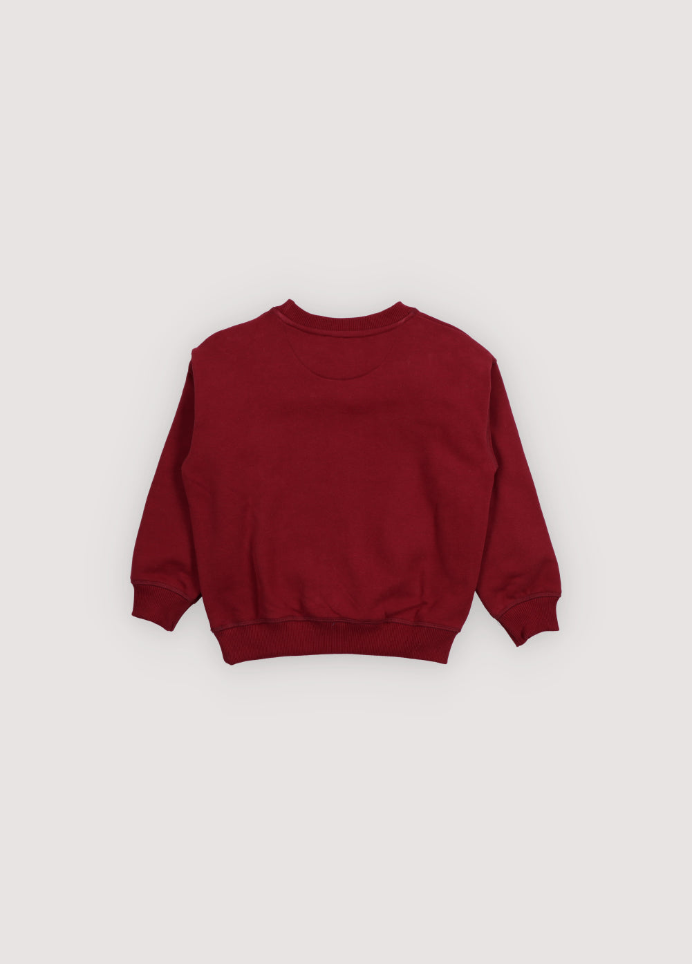 Sweater TNS logo