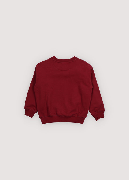 Sweater TNS logo