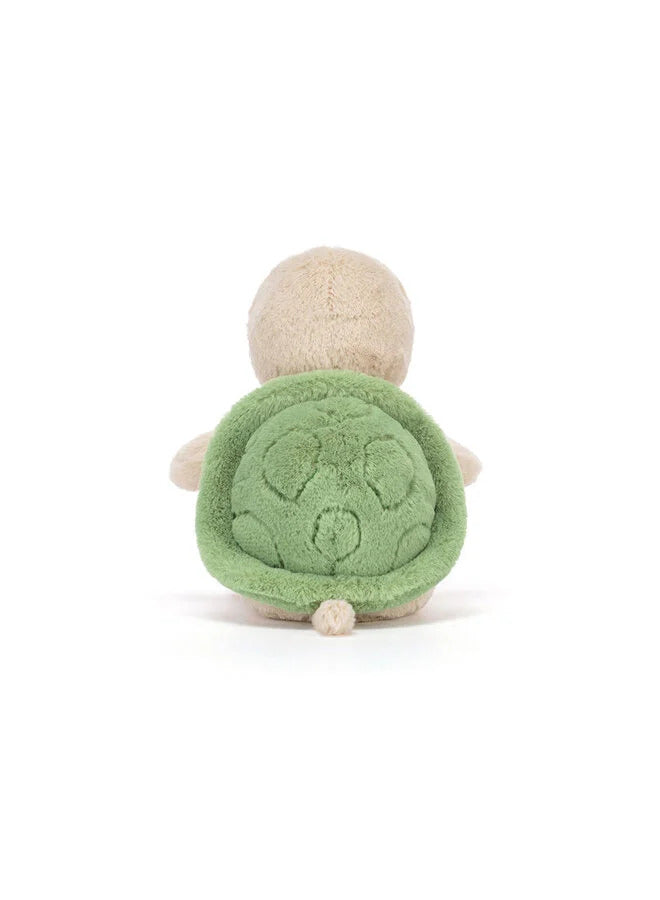 Thimble Turtle
