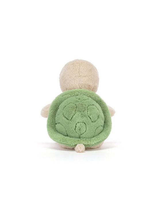 Thimble Turtle