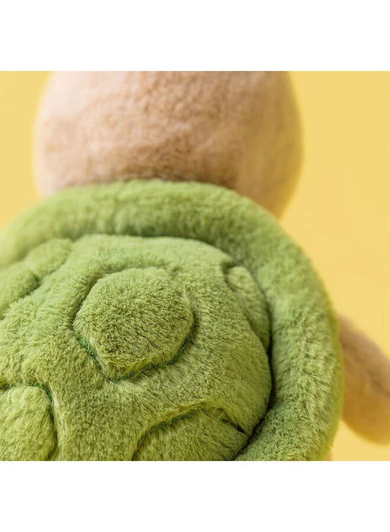 Thimble Turtle