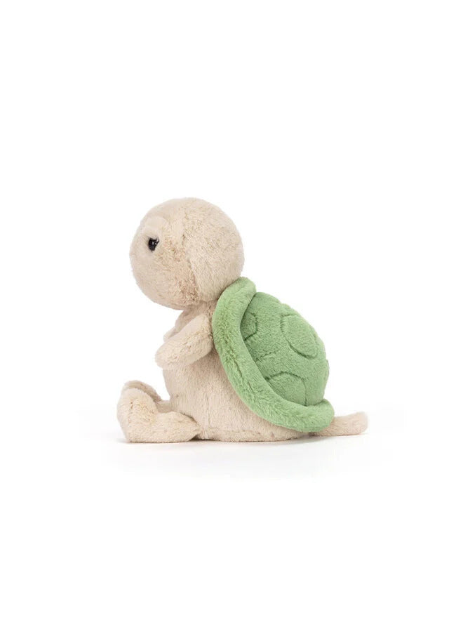 Thimble Turtle