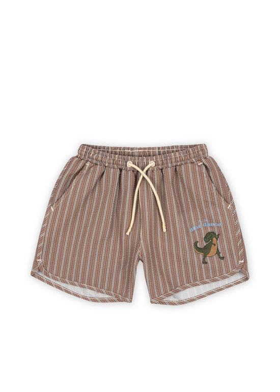 Zwemshort Seer Asnou