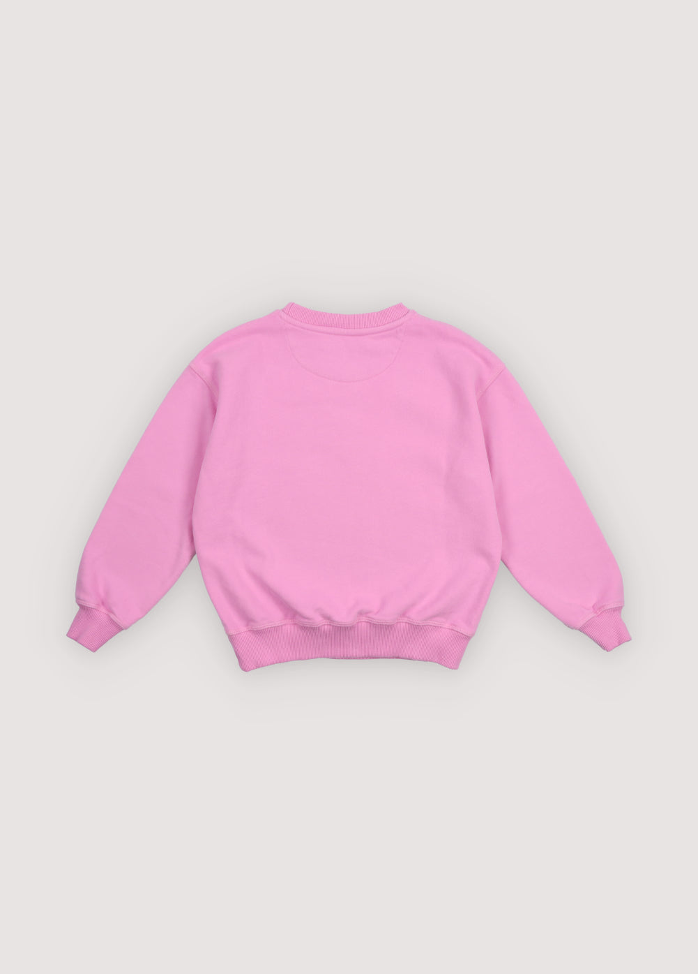 TNS Logo Sweatshirt