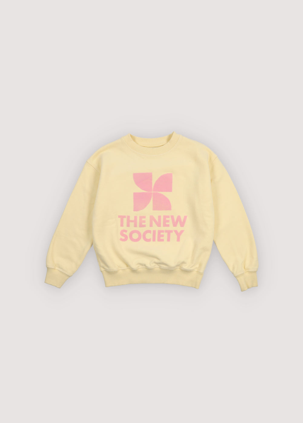 TNS Logo Sweatshirt