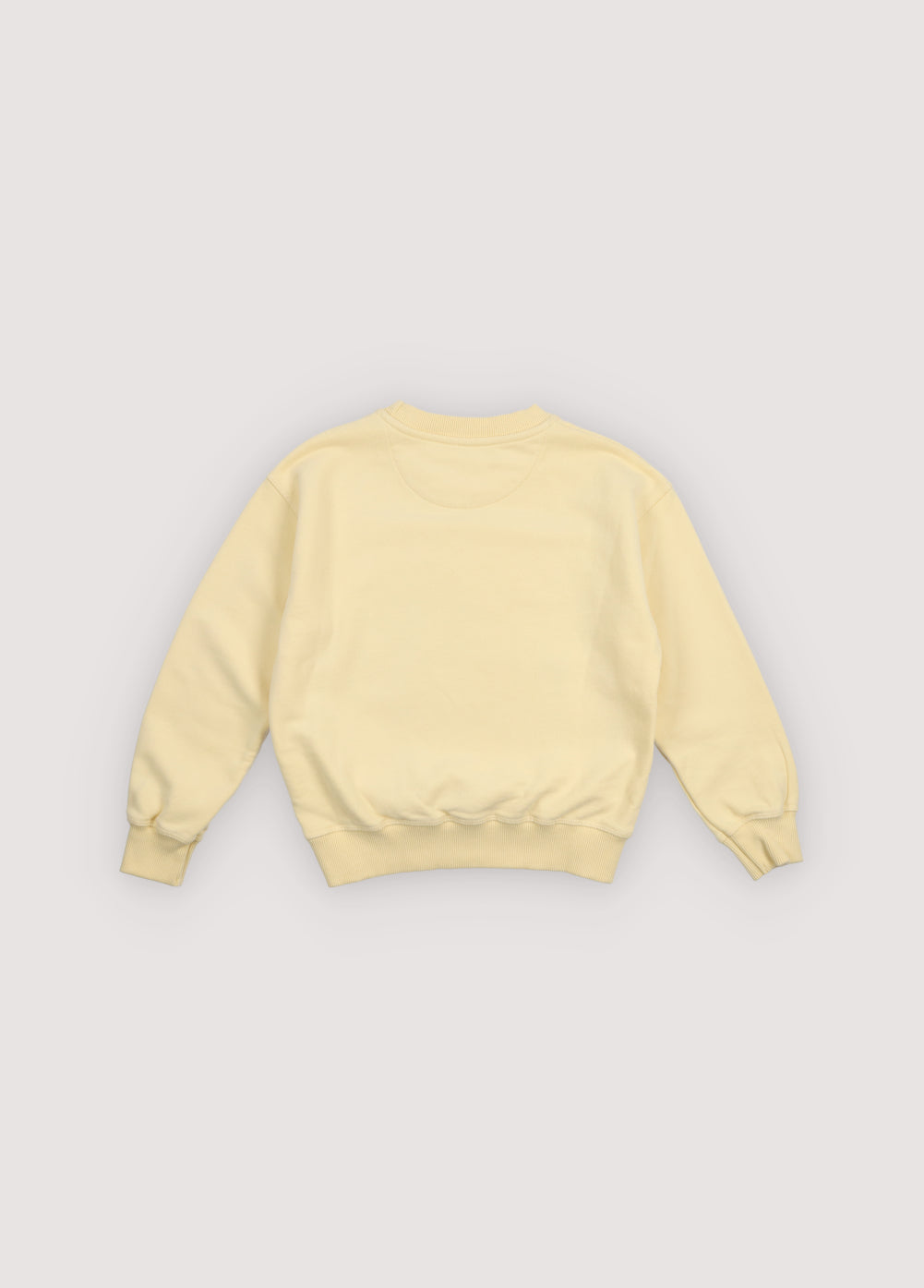 TNS Logo Sweatshirt