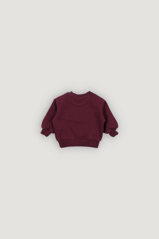 TNS Logo Baby Sweatshirt