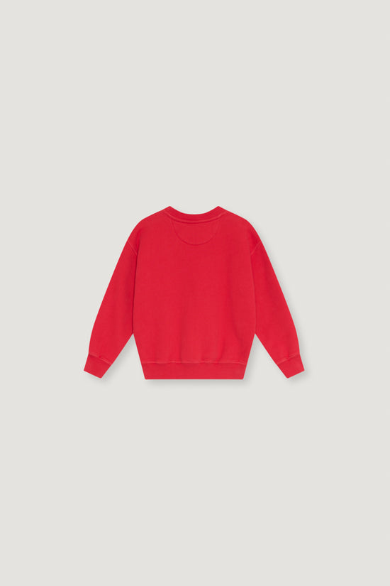 TNS Logo Sweatshirt