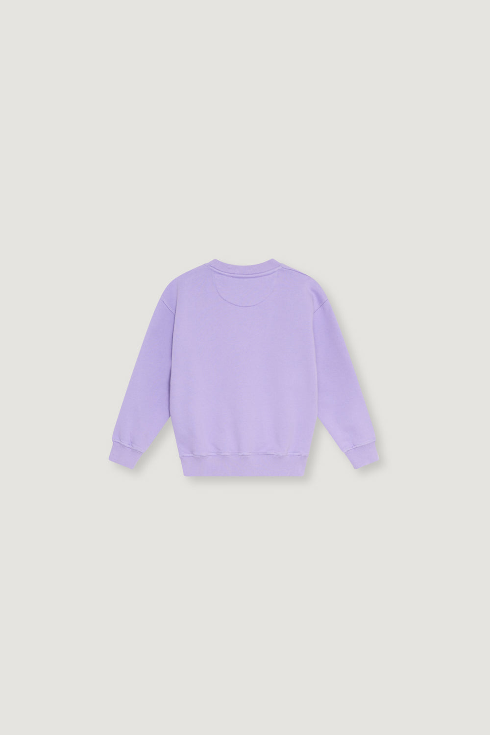 TNS Logo Sweatshirt