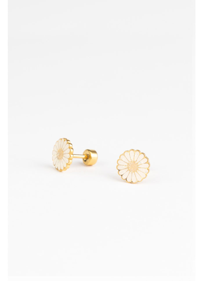 Studs Earrings